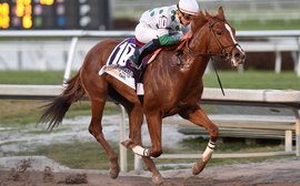 Was this the best race yet on the Road to the Kentucky Derby?