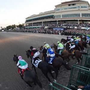 ‘A gold-plated comet with a tail formed of dollar bills’ – how the Pegasus World Cup has changed year-by-year | Topics: Frank Stronach, 1/ST Racing, Stronach Group, Gulfstream Park, Gun Runner, Arrogate, Life Is Good, Pegasus World Cup | Thoroughbred Racing Commentary