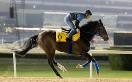 123 countries to show Bahrain race live on TV as five G1 winners join line-up