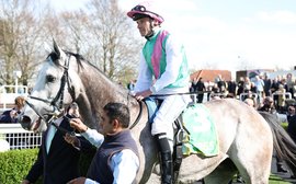 What’s been happening: Field Of Gold wows at Newmarket, Kentucky Derby news, Mineshaft retired and more …
