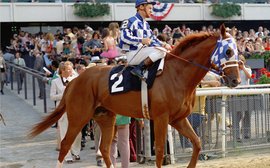 Secretariat’s legacy: new book explores equine legend’s accomplishments as a sire