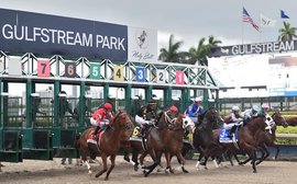 ‘They are playing dirty’ – horsemen fear uphill battle to save racing’s future at Gulfstream Park