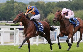 ‘A very, very serious horse, like Giant’s Causeway, but much quicker’ – Aidan O’Brien on Sussex Stakes hotpot Paddington