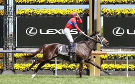 ‘She wore her heart on her sleeve every time’ – racing mourns Melbourne Cup heroine Verry Elleegant