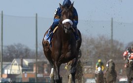 ‘This was one of the biggest wins of my life’ – remembering Bellamy Road’s stunning Wood Memorial victory