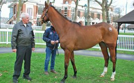 A roller-coaster ride is over for this mare’s owners - but what a bonus there was at the end!