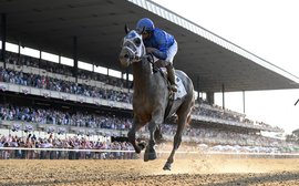 The horses who could leap to world #1 at the Breeders’ Cup