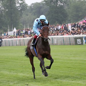 Vandret Besættelse peddling Almanzor all set for Ascot after impressive Leopardstown victory | Topics:  Jean-Claude Rouget, Almanzor, Irish Champion Stakes, Jack Hobbs, British  Champions Day | Thoroughbred Racing Commentary
