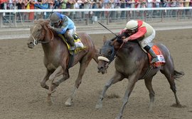 A life after racing: Travers hero V.E. Day thriving in third career as ambassador at Old Friends
