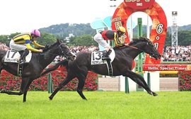 ‘He’s the best of his generation’ – Arc contender Croix Du Nord storms up rankings with Japanese Derby success