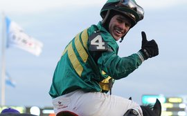 Graded racing in America: who are the human champions of 2016?