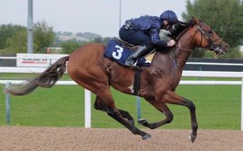 All systems go for Breeders’ Cup Classic as City Of Troy shines in key racecourse prep
