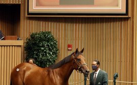 Yearlings by young sires spark brisk trade and produce $1.7 million sale topper on Day 3