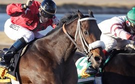 The local heroes who give racing fans a personal stake in the sport