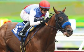 What’s been happening: Muth comeback, Melbourne Cup news, Hollie Doyle 1,000, Golden Sixty and more …