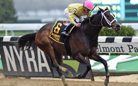 ‘He acts like he just came off the track’ – NYRA regular Eye Luv Lulu prepares for second career at Second Chance