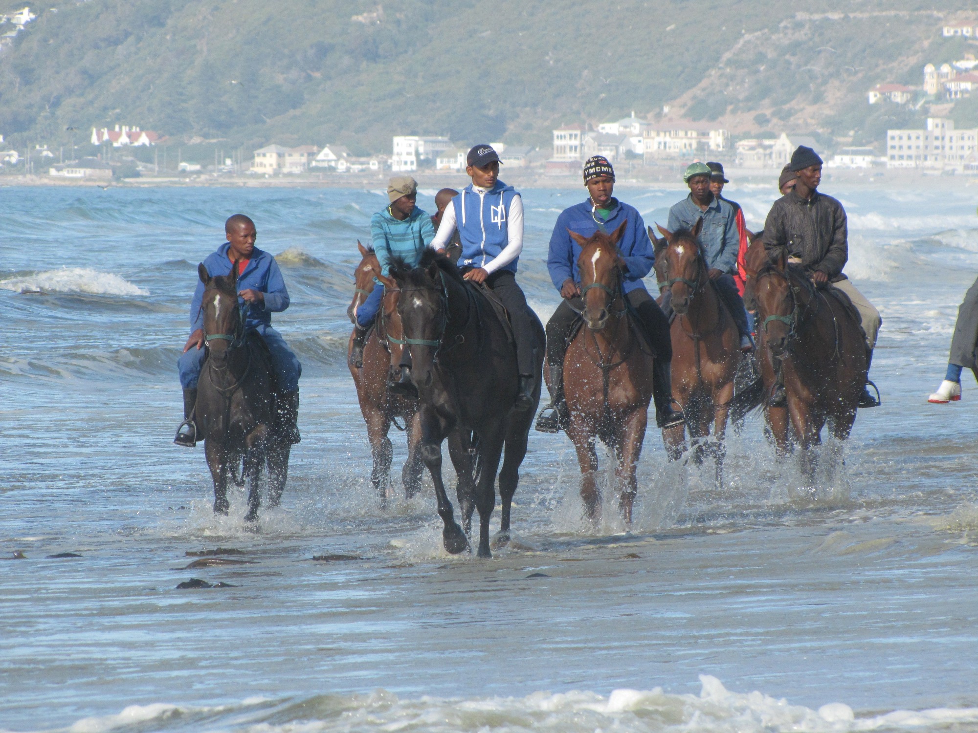 Sea the stars: trainer Brett Crawford’s string keeping cool on Strandfontein beach near Muizenberg, near Cape Town. Photo: Isabel Mathew