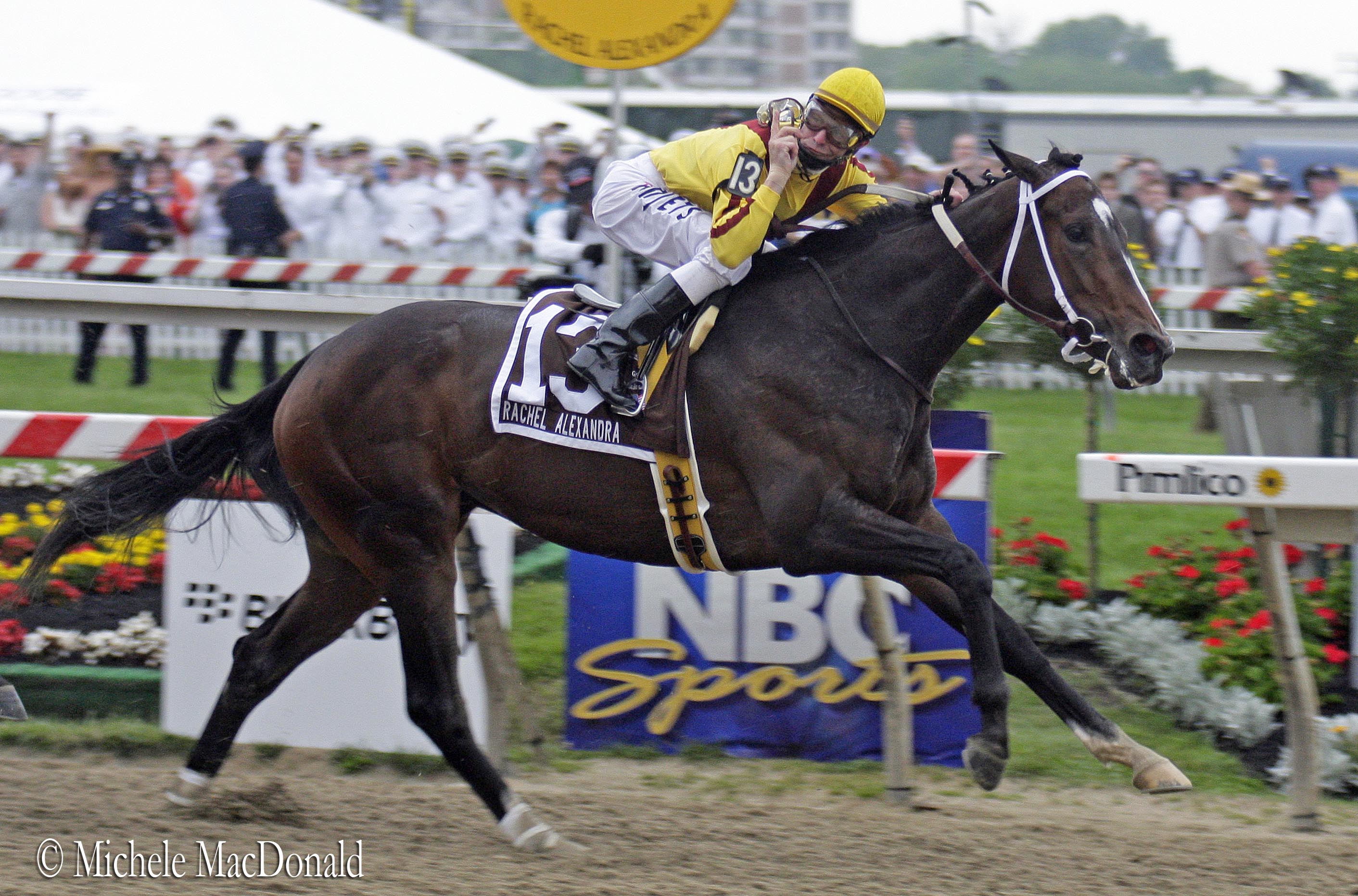 Preakness romp: ‘I’ve been in this business for 30 years and I’ve never been on a horse like her,’ said jockey Calvin Borel. Photo: Michele MacDonald