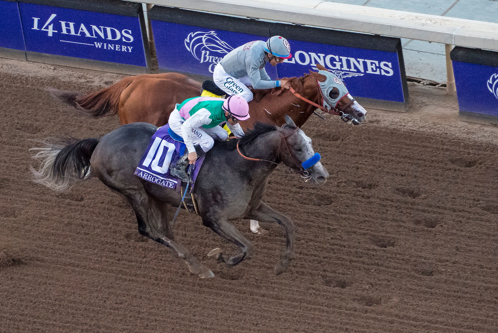 It’s just a few strides before the line, and Arrogate (near) is beginning to get up. Photo: Michael McInally/Eclipse Sportswire/Breeders’ Cup