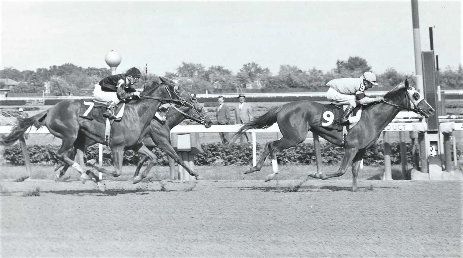 A serious racehorse: Lady Pitt wins the 1966 Mother Goose over Marking Time and Prides Profile