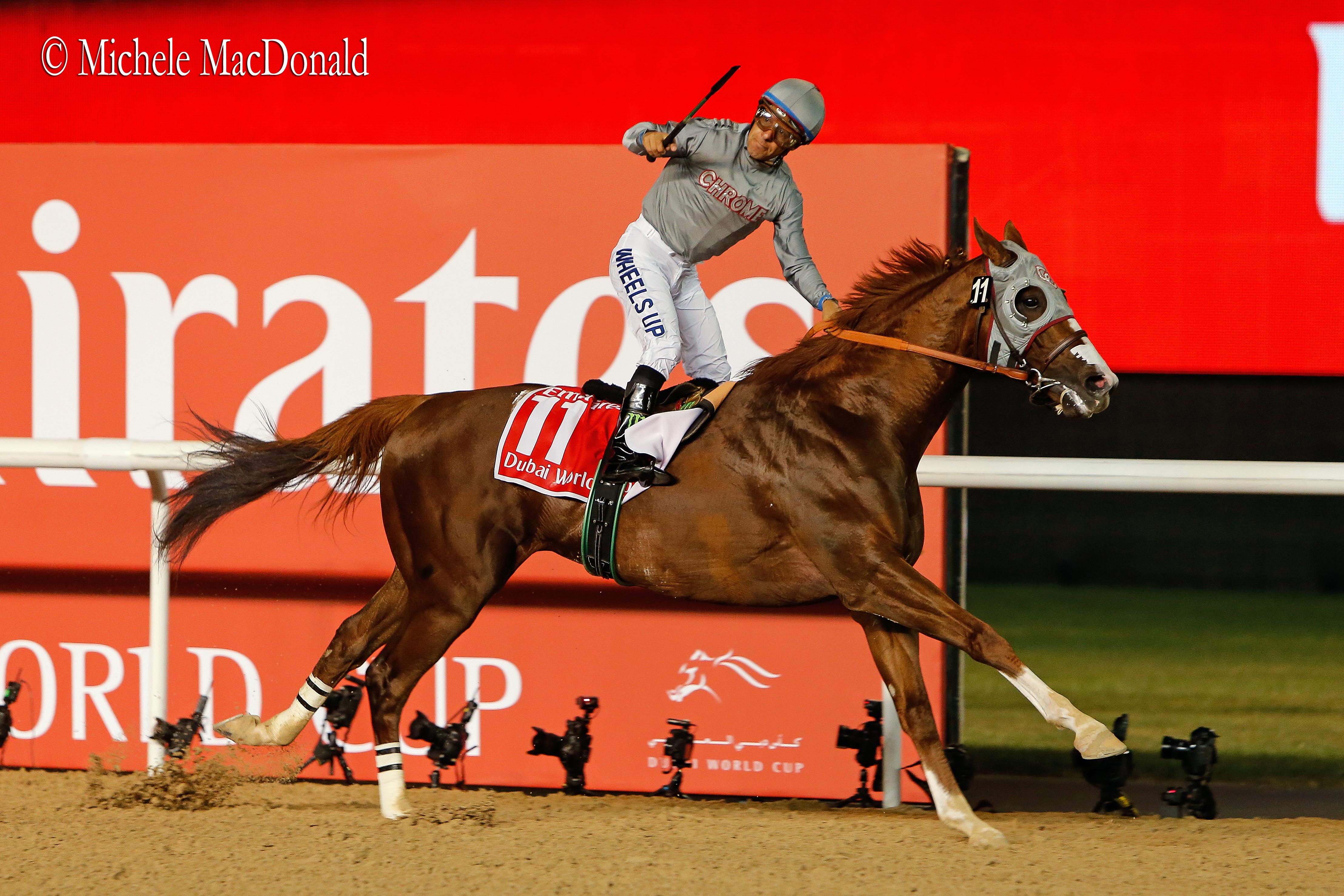 Electrifying: Chrome’s victory under Victor Espinoza in the $10 million Dubai World Cup in March. Photo: Michele MacDonald