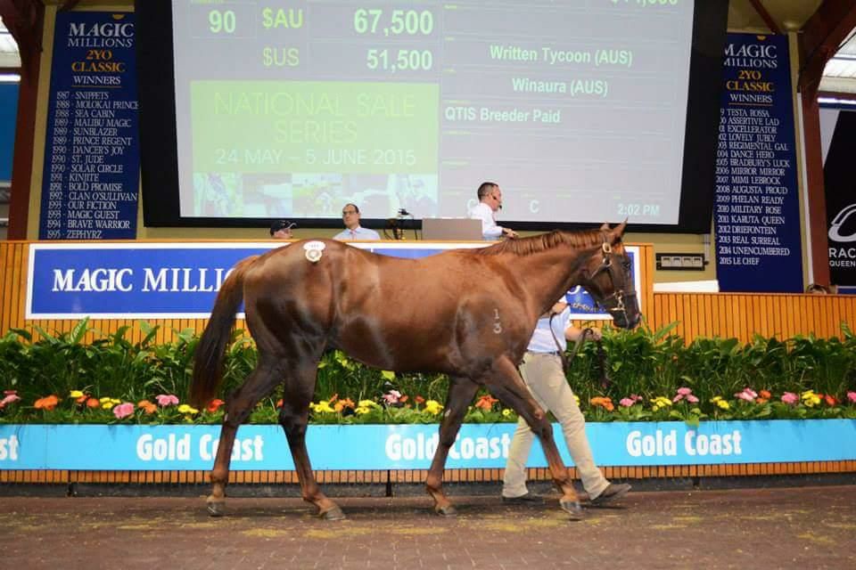 Jeff Cullen admitted he was slightly disappointed when Winning Rupert fetched just A$67,50o at the Magic Millions yearling sale in March 2015