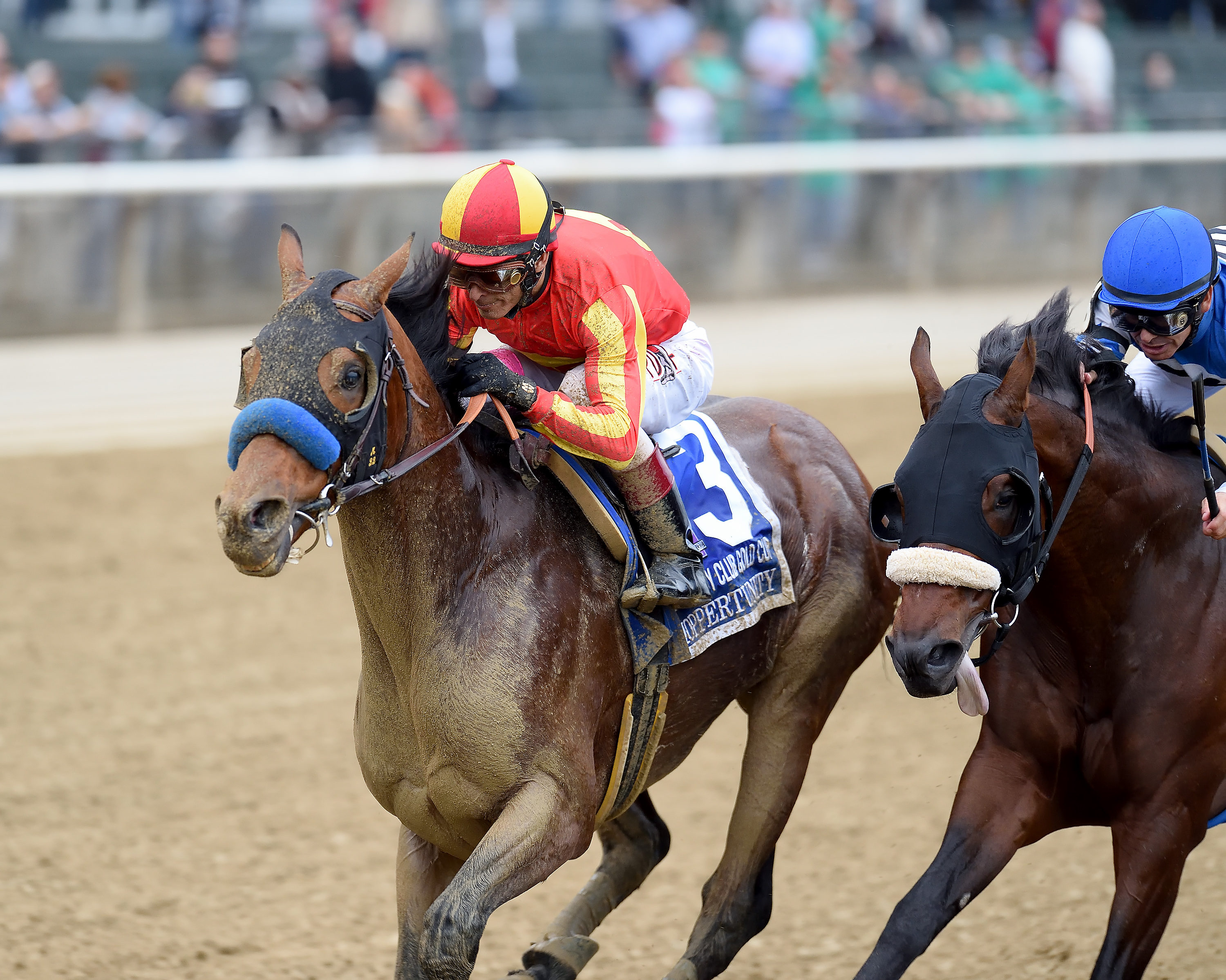 Career high: Hoppertunity takes the prestigious Jockey Club Gold Cup at Belmont last October. Photo: Chelsea Durand/NYRA.com