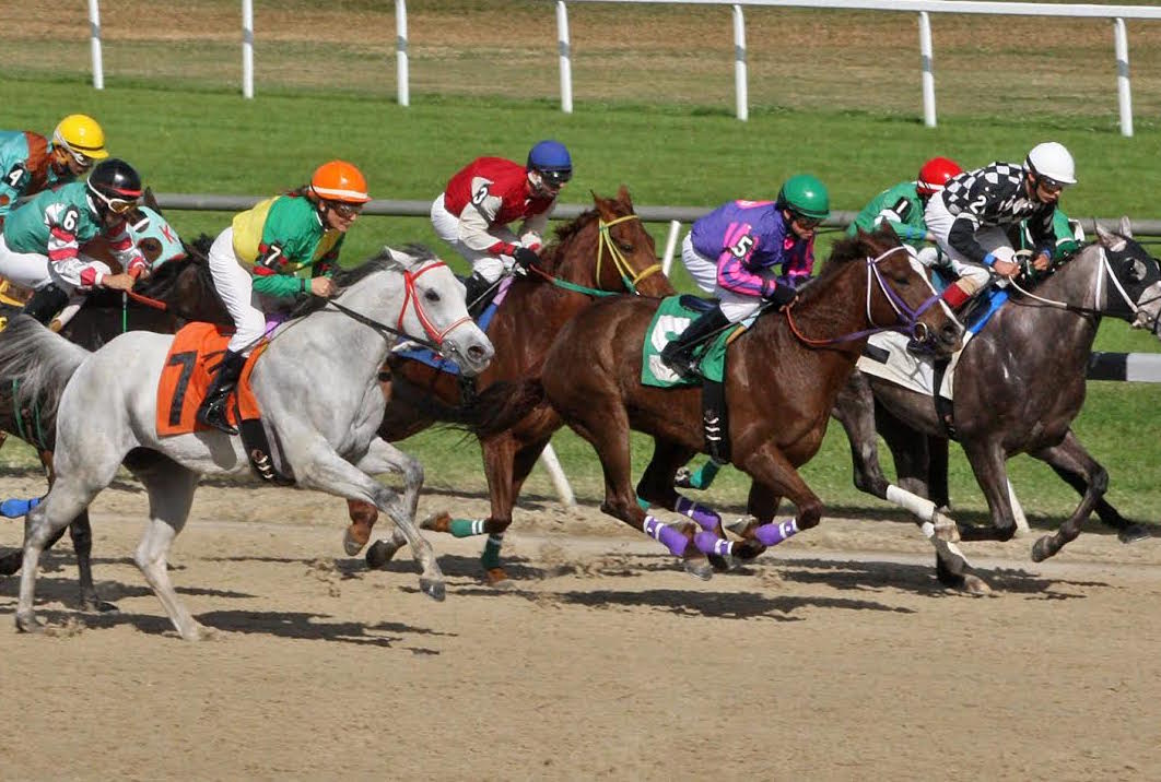 Ready to pounce: Sue Martin begins the winning move on the grey Blue Haze Of Fire at Tampa Bay Downs. Photo: Emily Shields