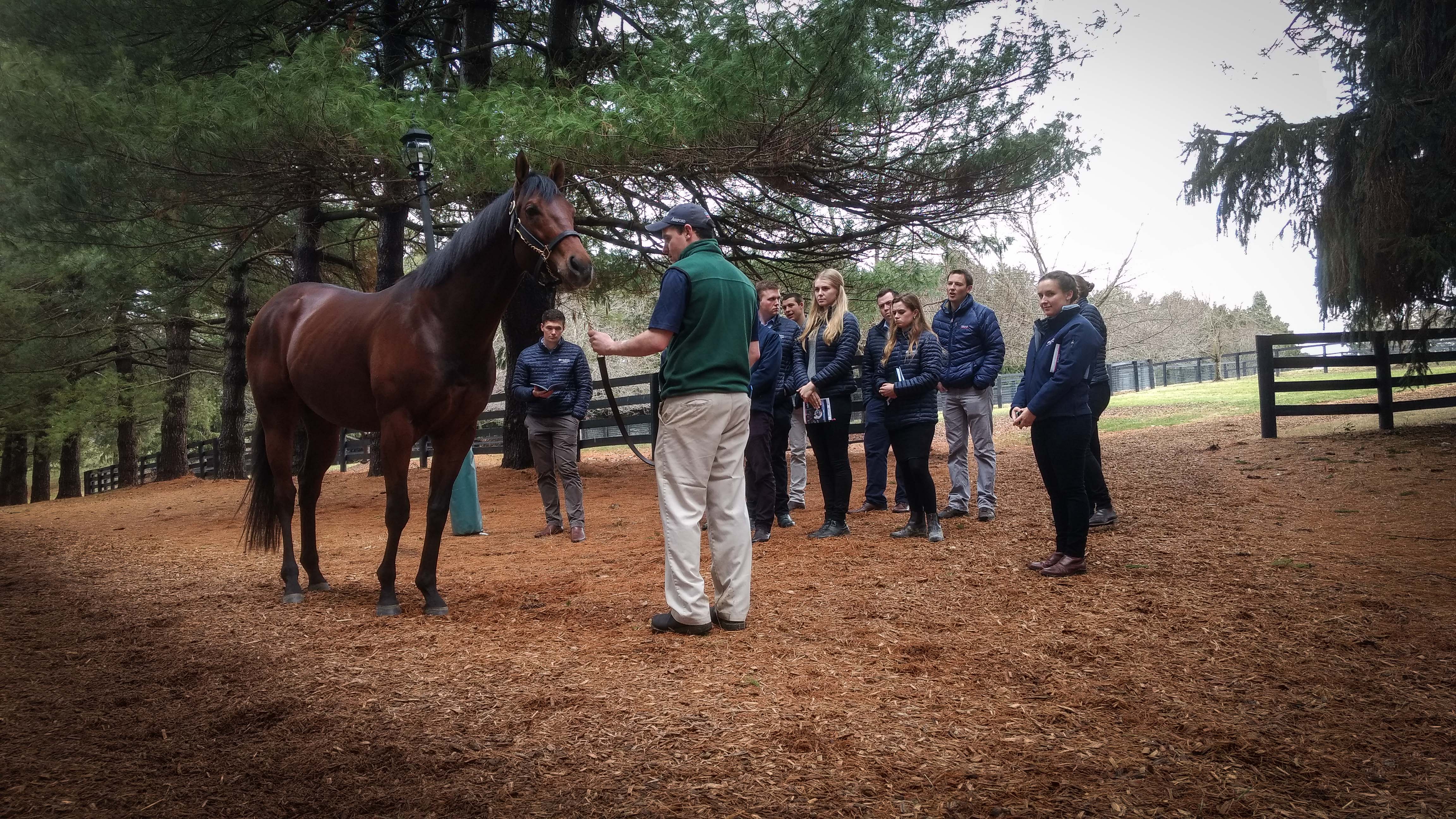 Air Force Blue: Flying Start graduate Scott Calder, now working with sales and marketing at Coolmore, gave the trainees a tour of Ashford Stud in Kentucky. Here the group is with the stallion Air Force Blue.  Photo: Amie Karlsson