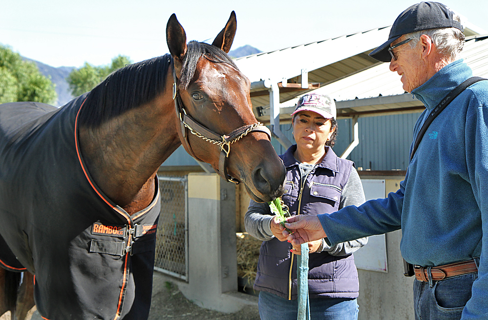 Now it’s Royal Mo’s turn to receive some post-workout nourishment from his trainer. Photo: Emily Shields