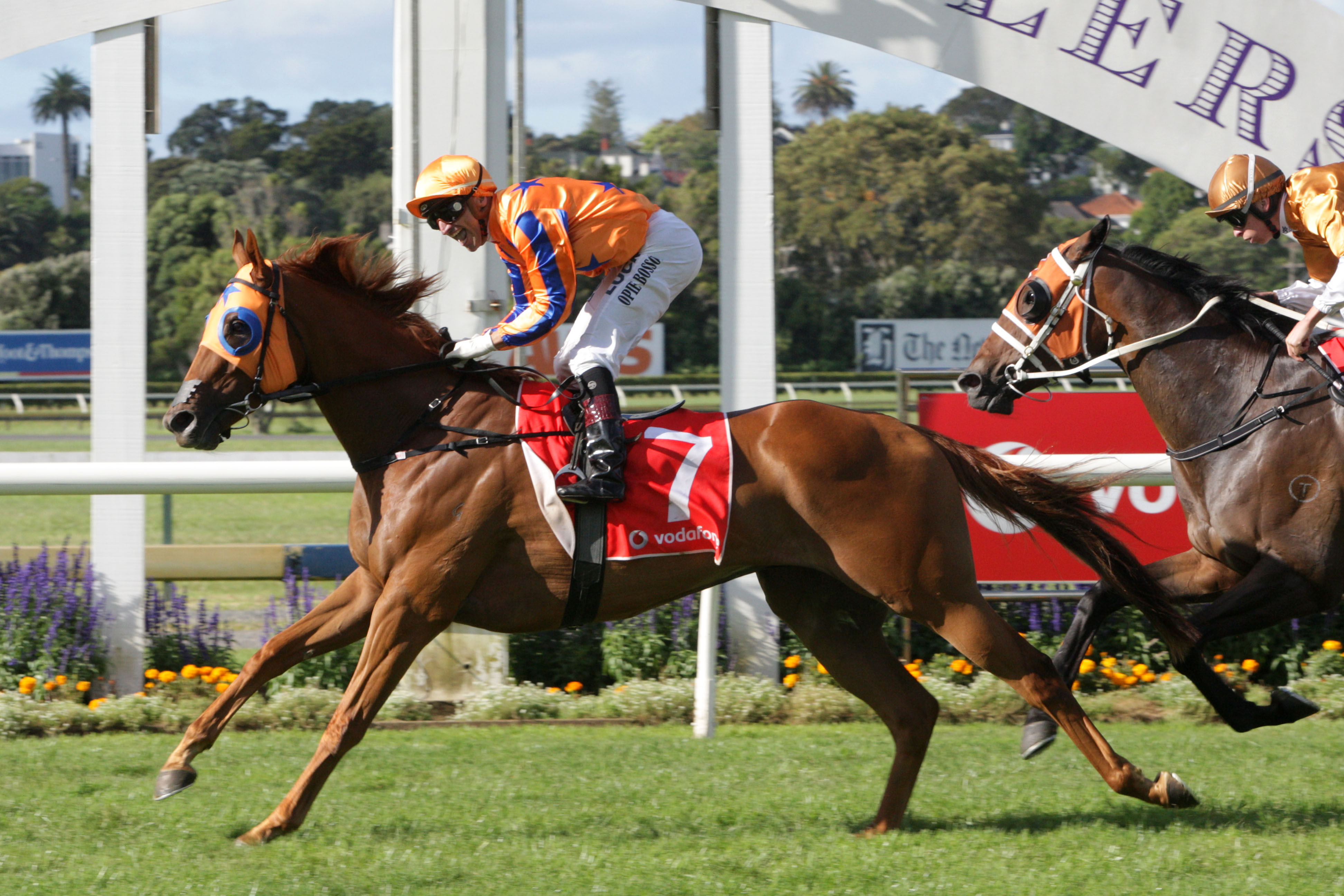 Opie Bosson savours the moment as Gingernuts takes the spoils in the Vodafone New Zealand Derby at Ellerslie last Saturday. Photo: Trish Dunell