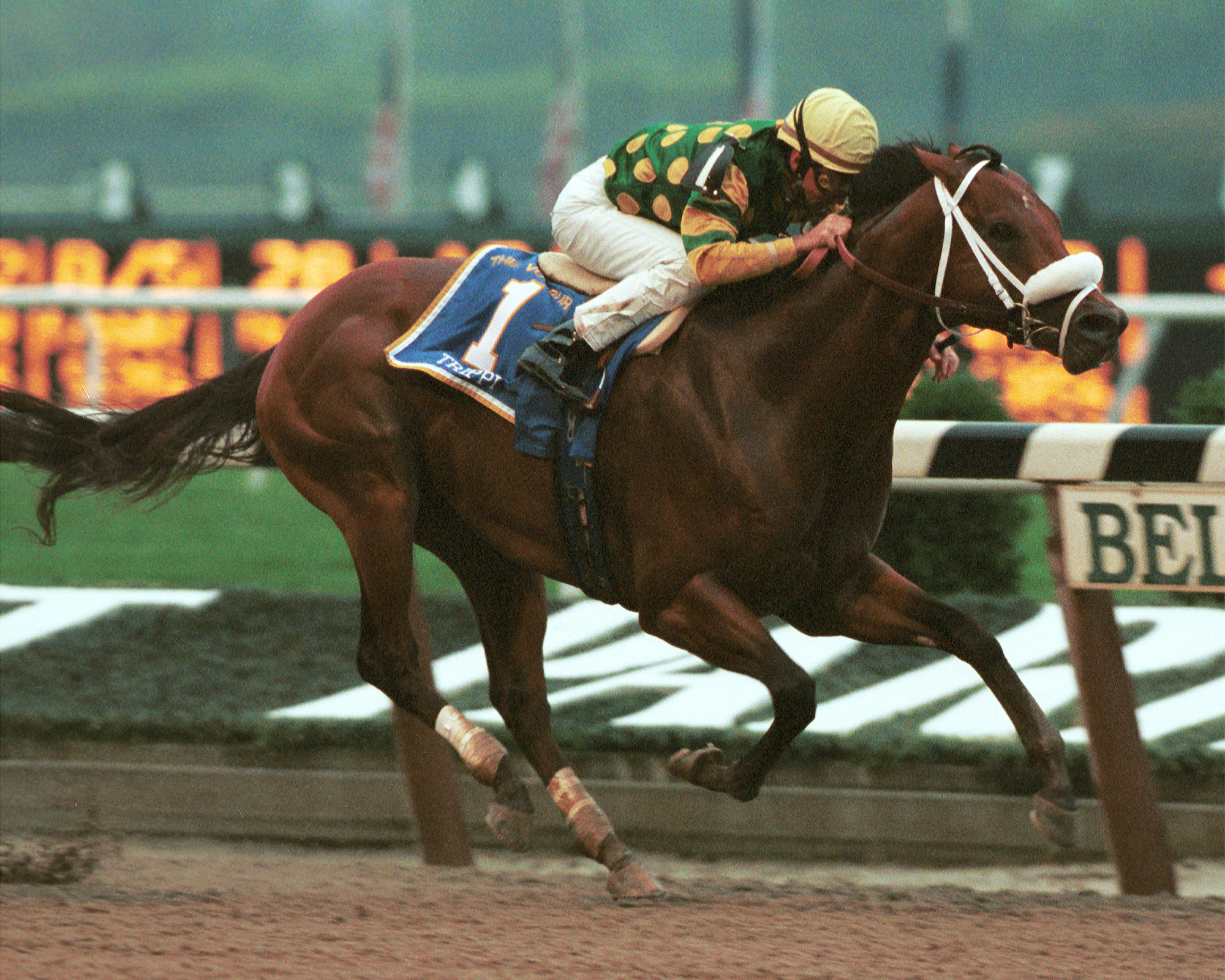 Grade 1 victory: Trippi winning the Vosburgh Stakes under Jerry Bailey at Belmont in 2000. Photo: Adam Coglianese