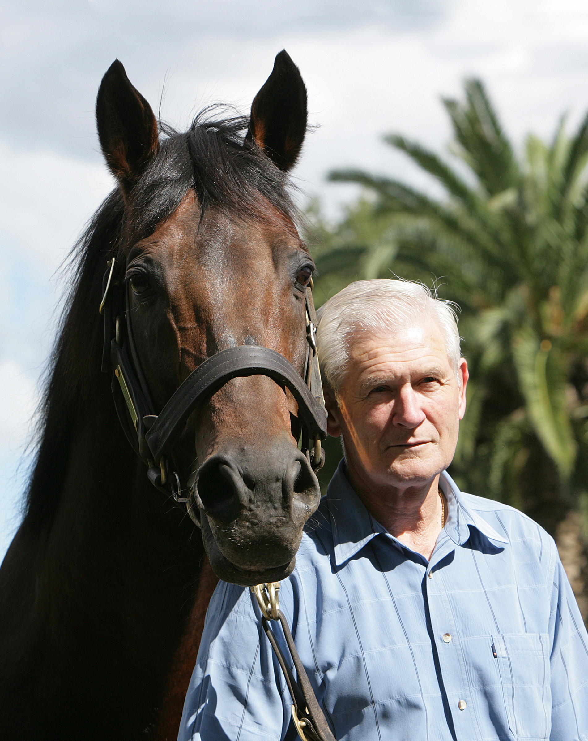 Landmark achievement: Sir Patrick Hogan with Zabeel. Photo: Trish Dunell