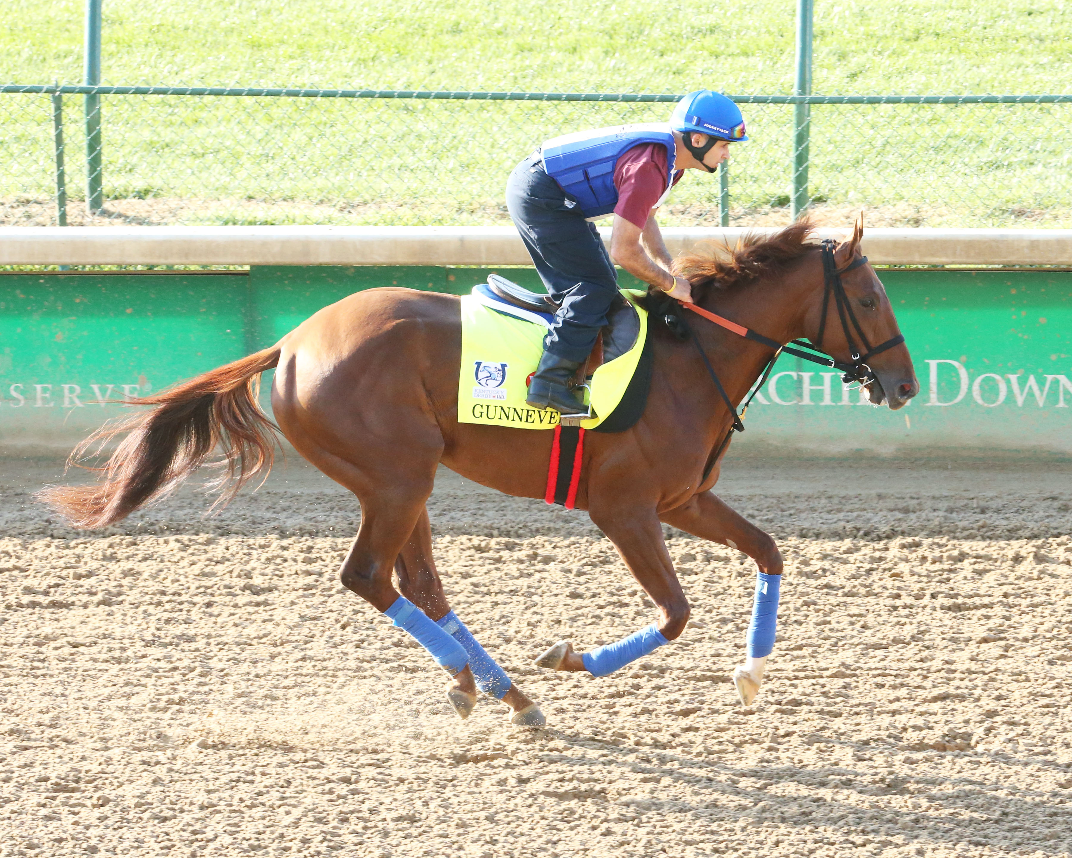 Gunnevera working out at Churchill Downs ahead of Saturday’s Run for the Roses. Photo: Coady Photography