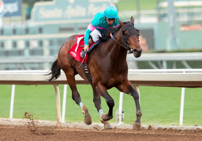 Royal Mo winning the G3 Robert B. Lewis Stakes at Santa Anita. Benoit Photo