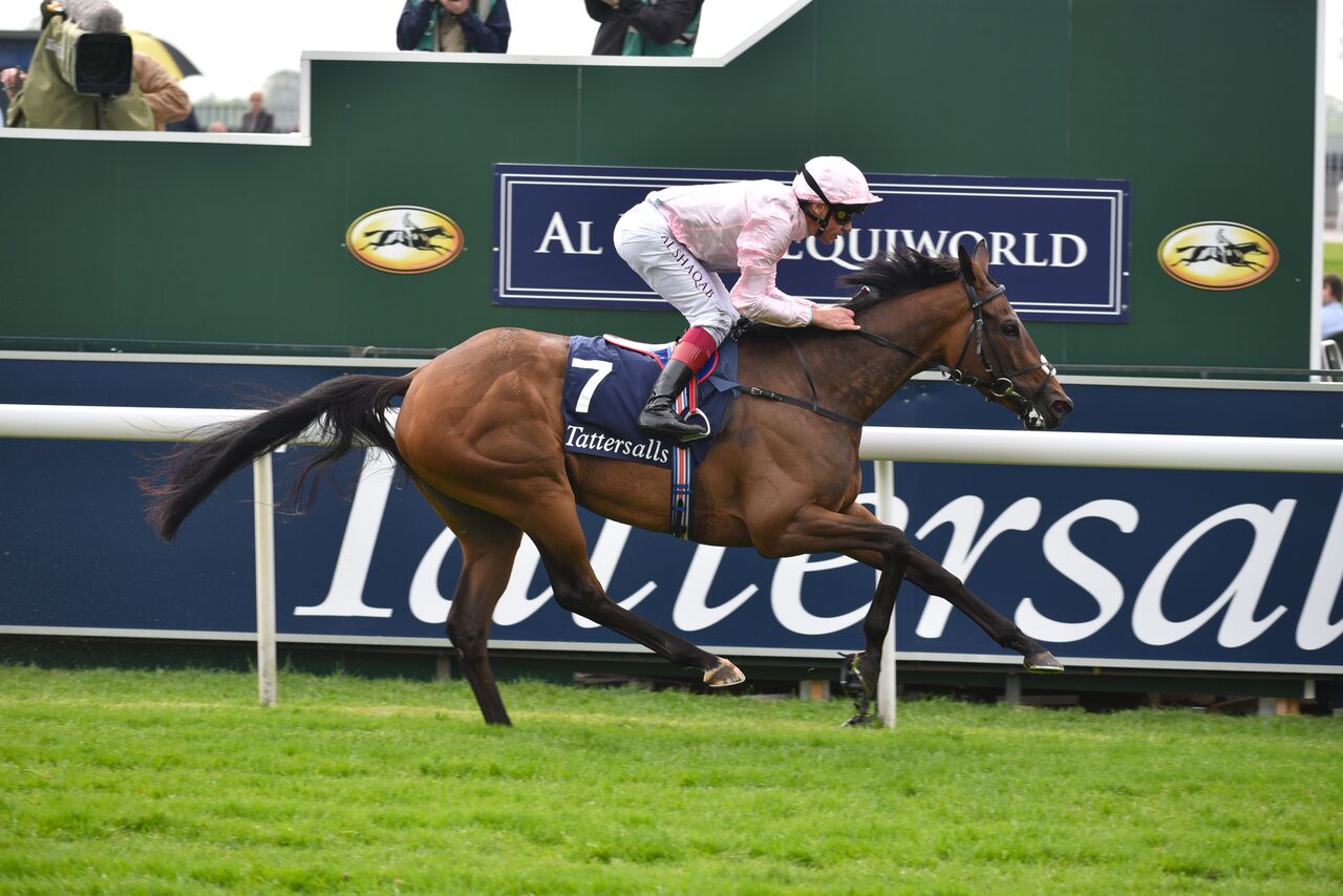 Out on her own: So Mi Dar, trained by John Gosden, challenged for Oaks favouritism after this four-length win in the Tattersalls Musidora last season. Photo: York Racecourse