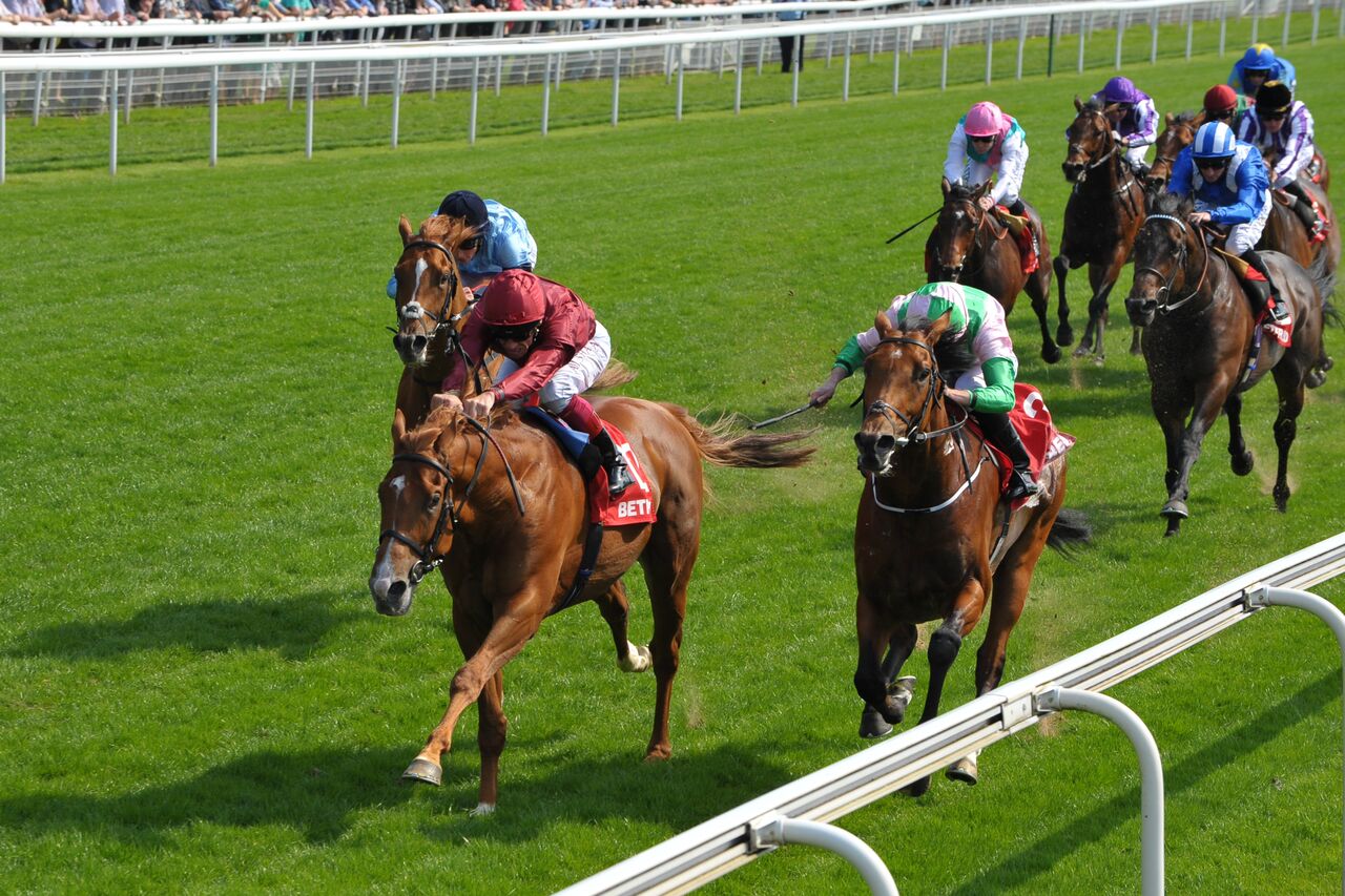Top quality: the John Gosden-trained Wings Of Desire, subsequently fourth in the Derby and runner-up in the King George at Ascot, just gets the better of the Ballydoyle colt Deauville, who went on to G1 glory in the U.S. Photo: York Racecourse 
