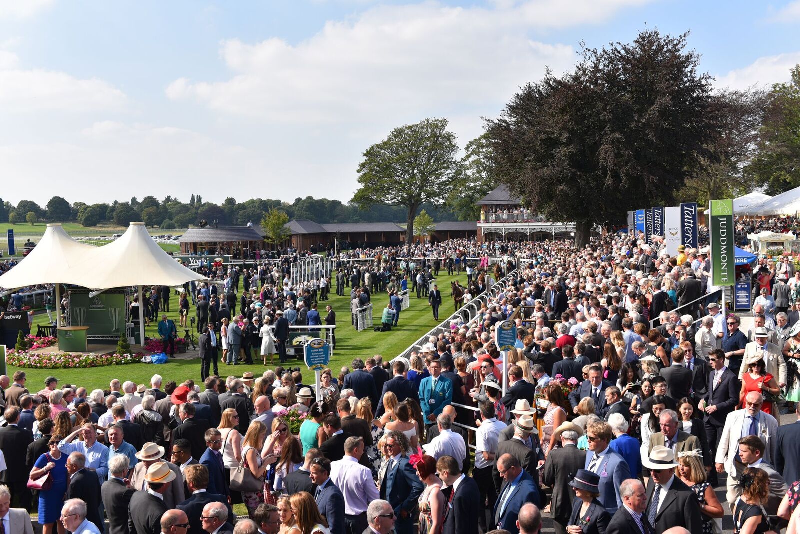 The northern end of the racecourse in full swing during last year's Ebor meeting. Photo: York Racecourse