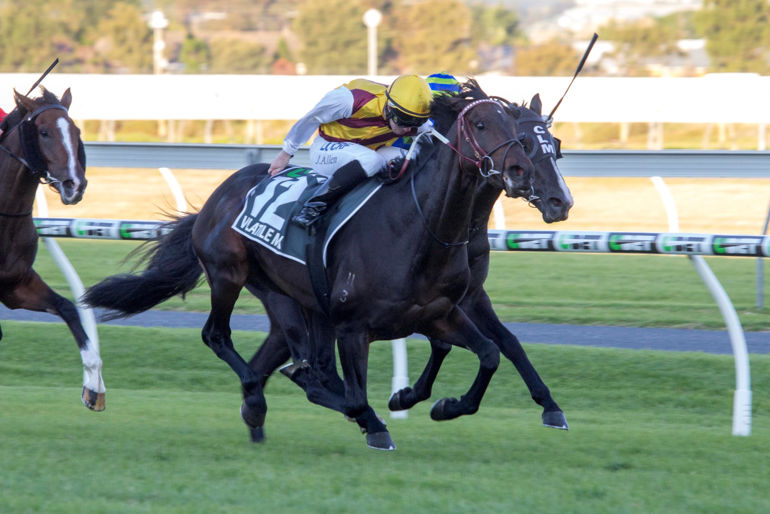 Volatile Mix takes the South Australian Derby at Morphettville under jockey John Allen. Photo: Atkins Photography