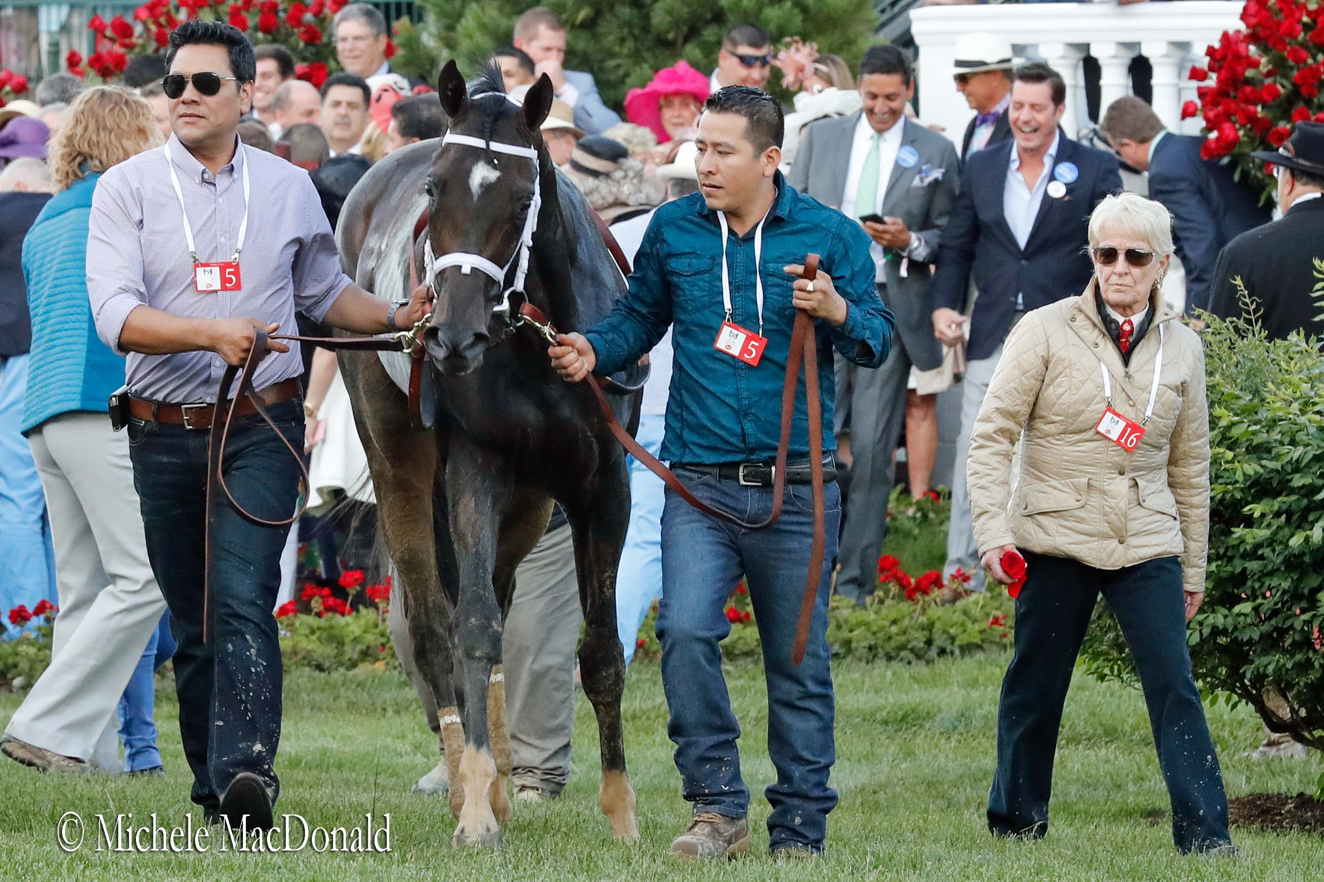 Watchful eye: Ginny DePasquale (right) follows Always Dreaming from the winner’s circle after the Kentucky Derby. Photo: Michele MacDonald