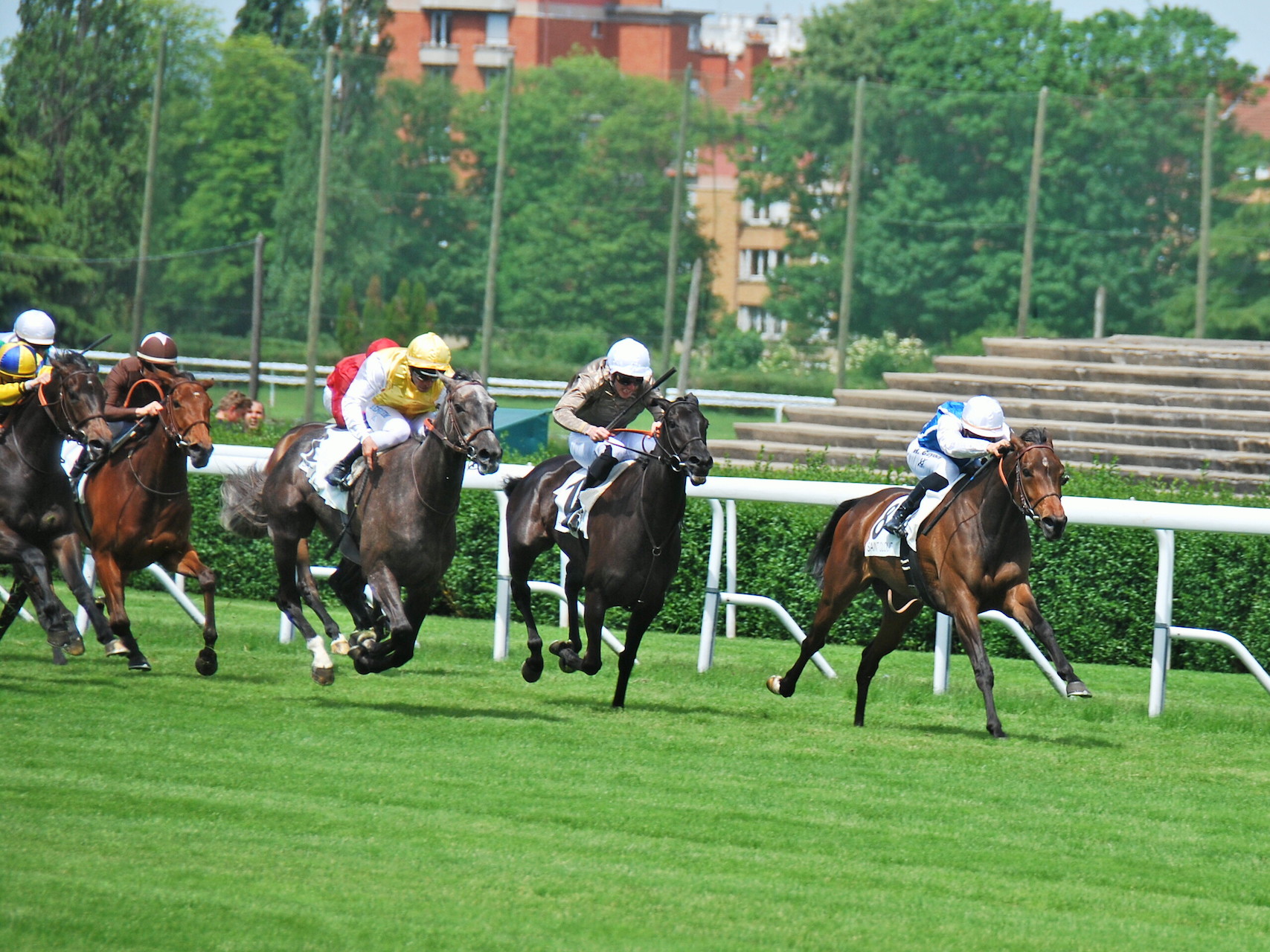 Aiming at the Diane: Terrakova, a product of the dream mating of Galileo and Goldikova, pulls clear to win the Prix Cleopatra at Saint-Cloud under Maxim Guyon. Photo: John Gilmore