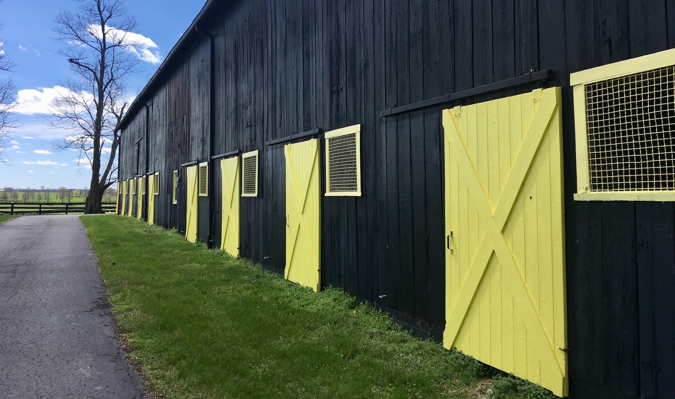 The foaling barn at Stone Farm. The closest stall is where Fusaichi Pegasus was born. Photo: Amanda Duckworth