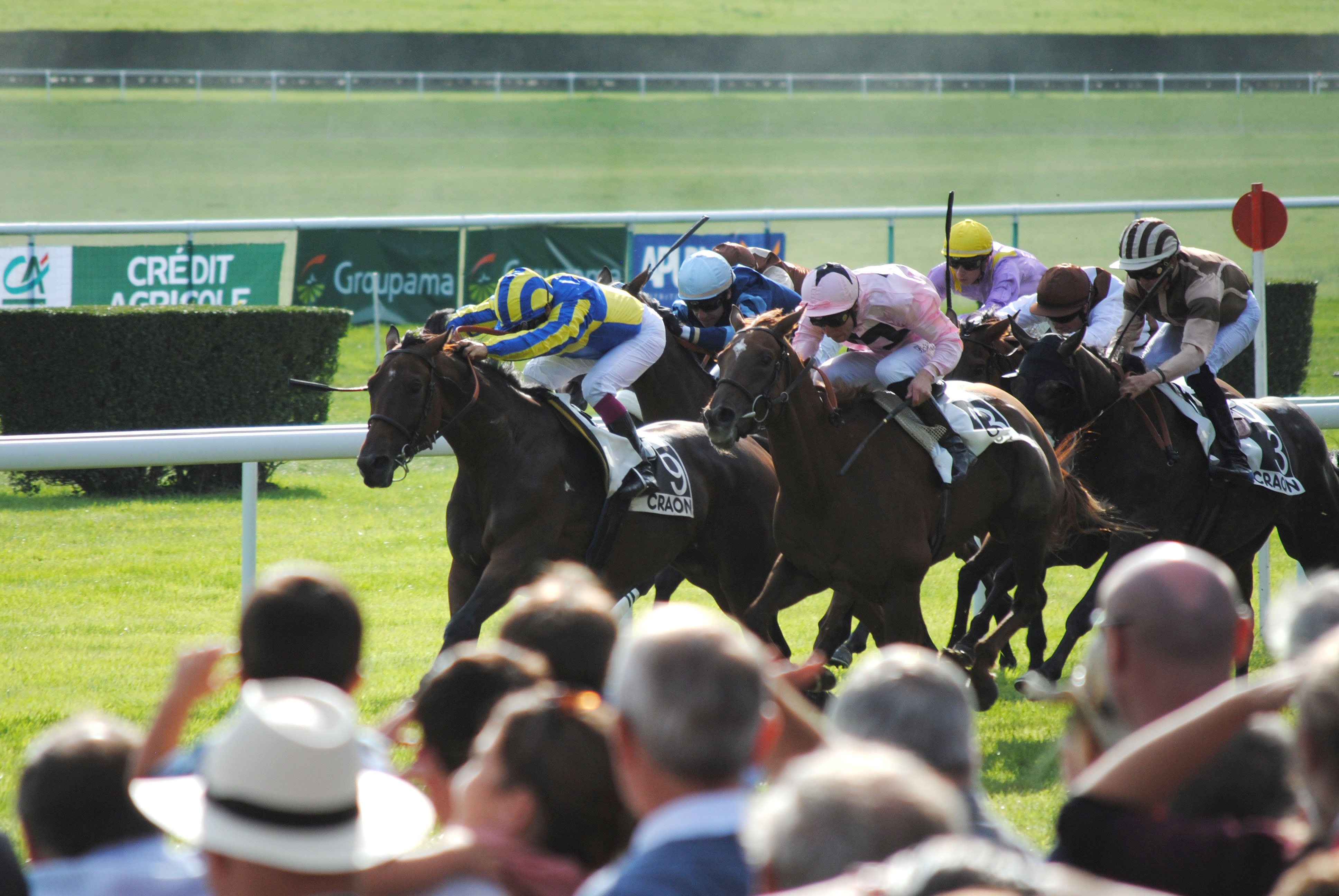 The Andrew Hollinshead-trained Doesyourdogbite wins a handicap at Craon in France in September 2015. The picture was taken by Amie Karlsson, who spent the summer riding out for the stable in 2015