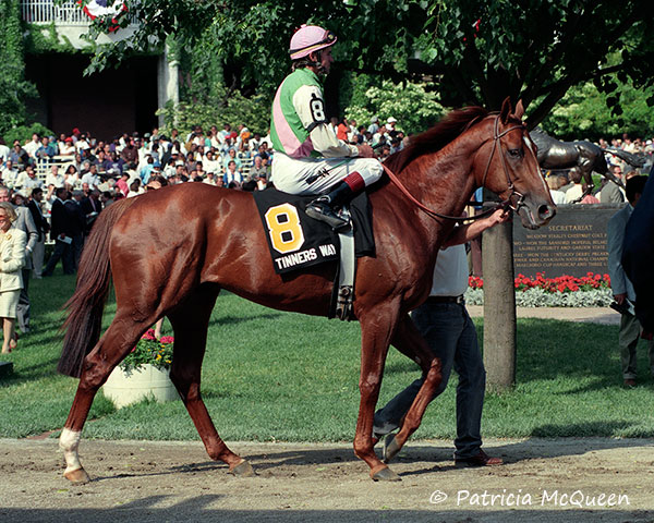 Unlike his father, Tinners Way never excelled at Belmont. Here he is in the paddock before the Mel Mile there with the statue of his sire in the background. Secretariat, of course, clinched the Triple Crown at the track. Photo: Patricia McQueen