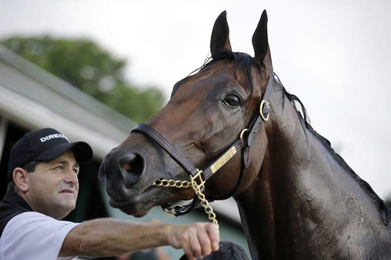 Jim Barnes with American Pharoah: “I was with that horse practically every day,” he says.