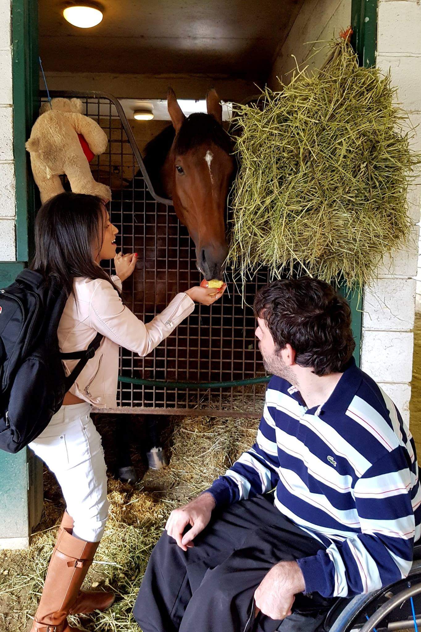 Keish and Goki meet the racehorse A Pic By Mrwill at his barn. Photo: Will Wong