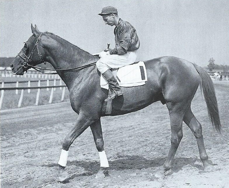 Contender: Wait A Bit, who held the track record for the Carter distance of seven furlongs, was around 6½/1. Photo: Bert Morgan