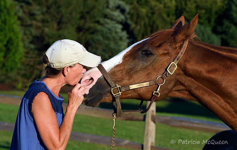 Betsy Barr was looking for a new fox hunter 22 years ago. She got Torbay, and they are still together now. Photo: Patricia McQueen