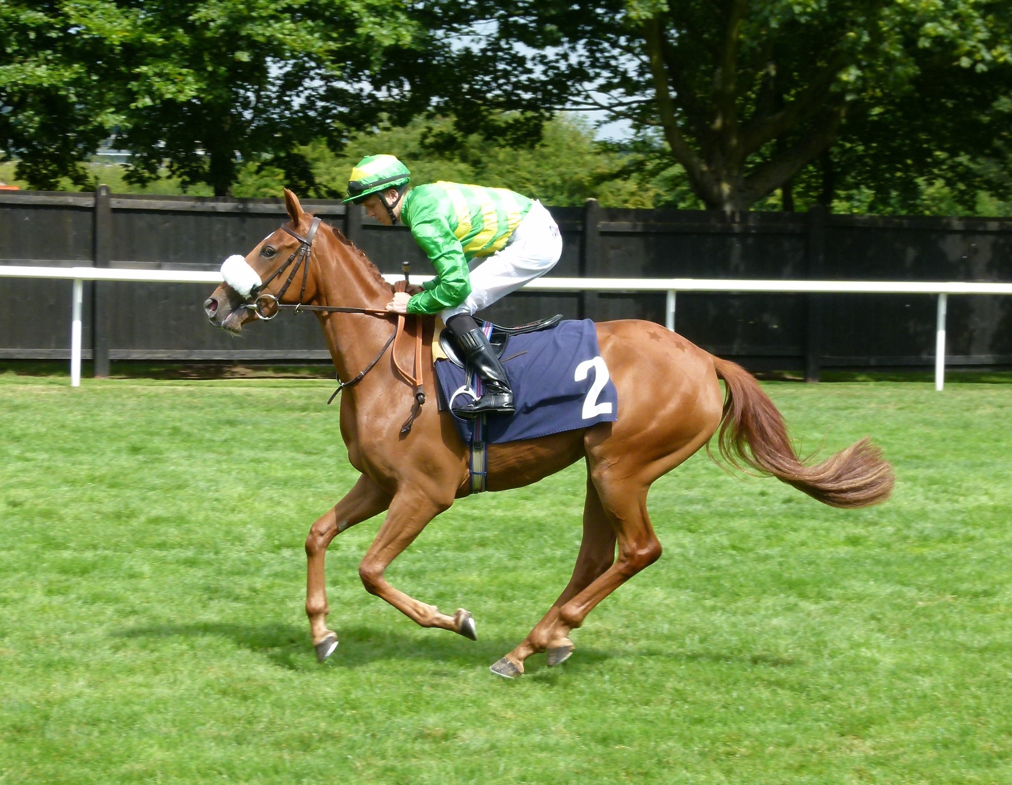 Grade 3 winner Casual Smile, daughter of Epsom Oaks heroine Casual Look, is a direct descendent of Miss Grillo. Photo: Mary Pitt