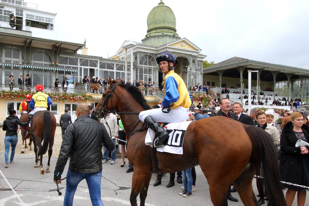 Early morning rain and unseasonably cold weather meant the crowd for Austrian St Leger last month was just 3,000